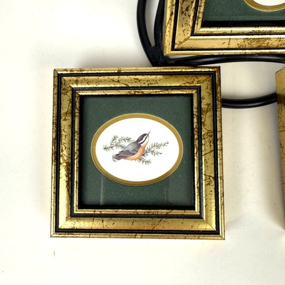 Feathered Friends Heartfelt Collection Bird Art Framed Prints Gold Frames - Picture 4 of 10